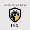 Labour system group
