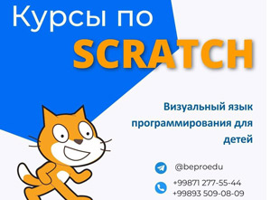 BePro IT-Academy объявляет начало курса по Scratch