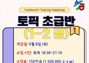 TOPIK (начальный уровень) | Sejong Hakdang